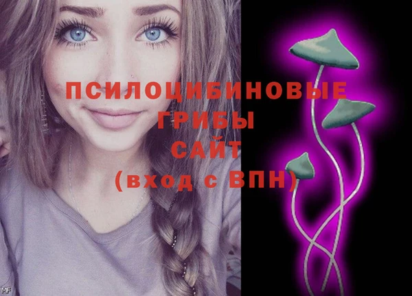 ПСИЛОЦИБИНОВЫЕ ГРИБЫ Армянск