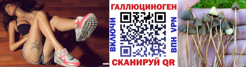 KRAKEN ССЫЛКА  Данков  Галлюциногенные грибы Magic Shrooms  купить наркотик 